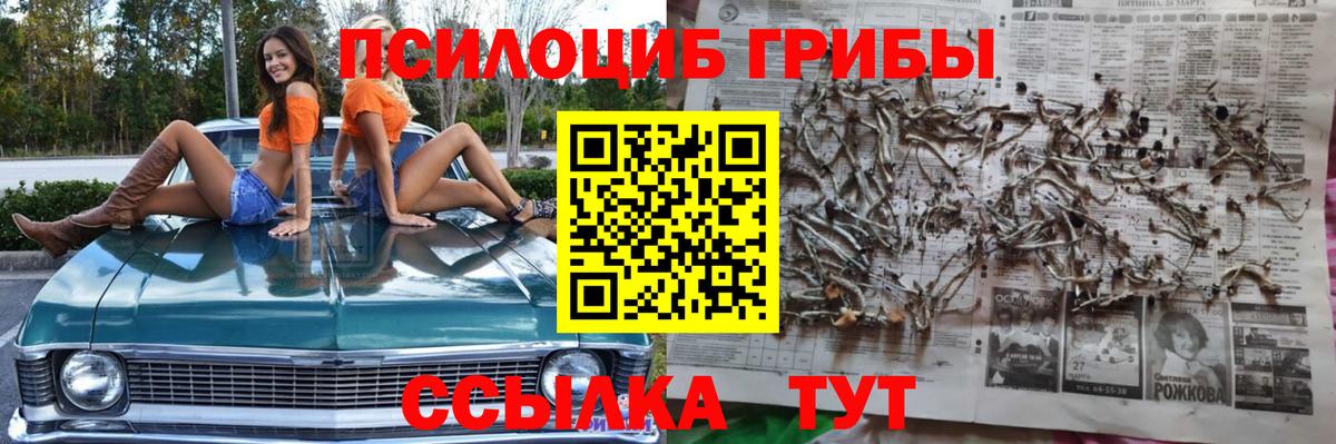 Галлюциногенные грибы Magic Shrooms  Вход с VPN  Галлюциногенные грибы GOLDEN TEACHER  Усолье-Сибирское 