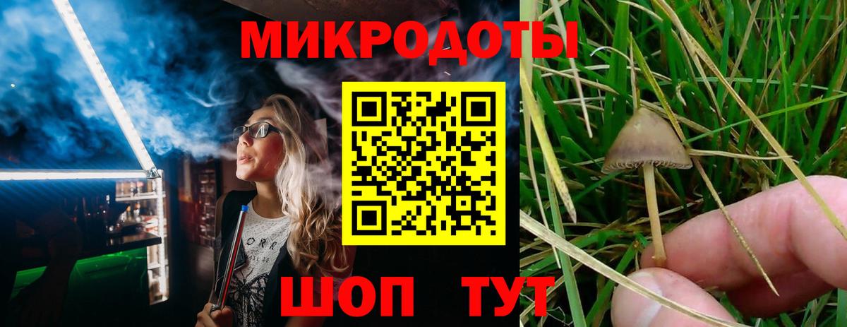 Псилоцибиновые грибы прущие грибы Усолье-Сибирское